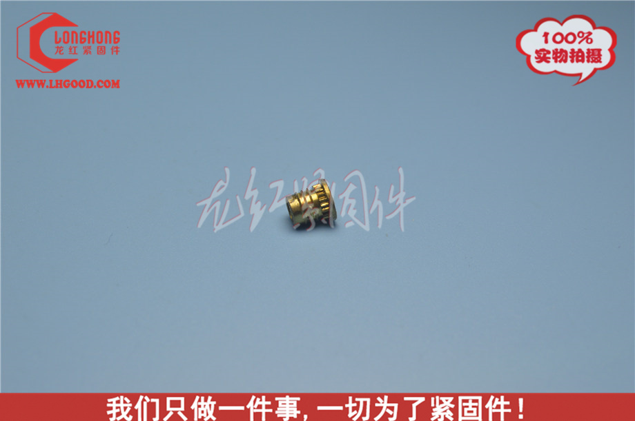 FLH系列熱熔螺母.JPG
