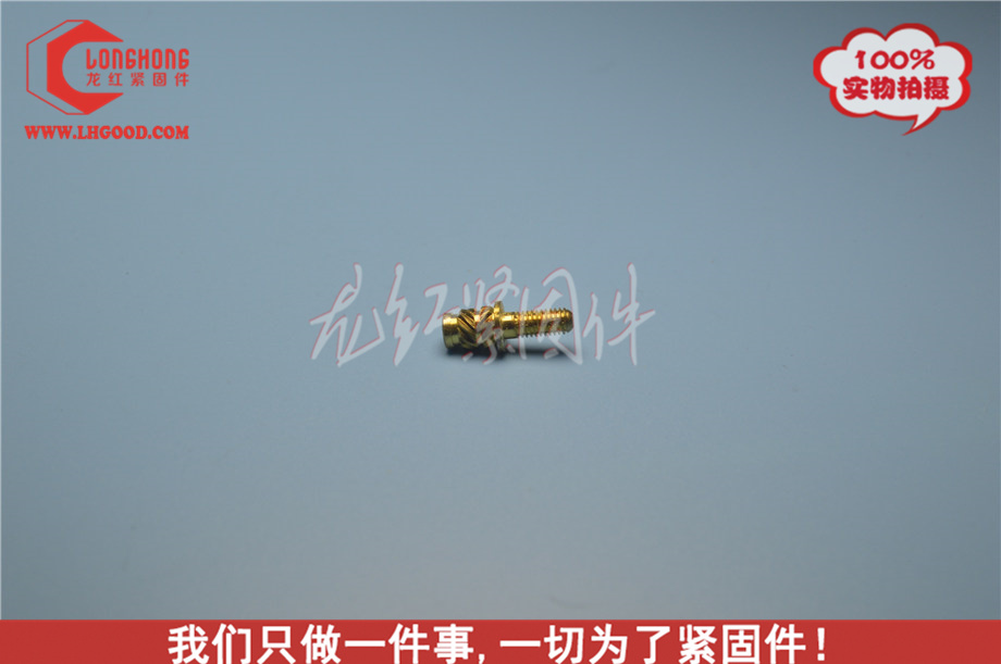 進口SLHS熱熔螺母,非標SLHS熱熔螺母.JPG