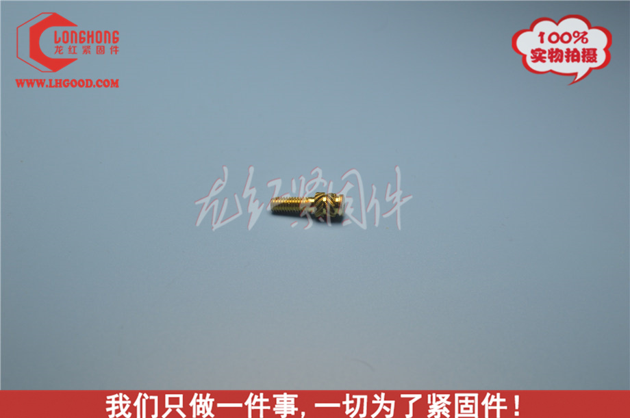 非標進口SLTS熱熔螺母,slTS熱熔螺母,非標SLTS熱熔螺母.JPG