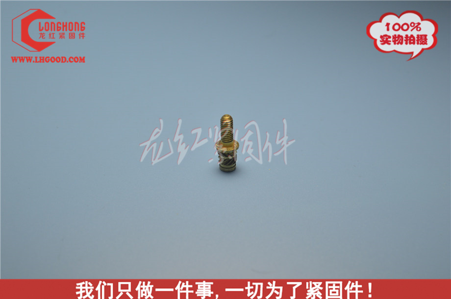 F進口SLHS熱熔螺母,sHSl熱熔螺母,非標SLHS熱熔螺母.JPG