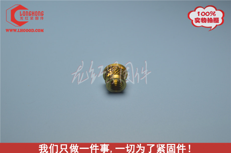 東莞SPIRO系列熱熔螺母深圳.JPG