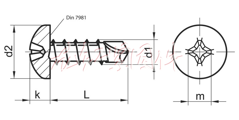 fi_DIN7504NPh_CAD_web.jpg