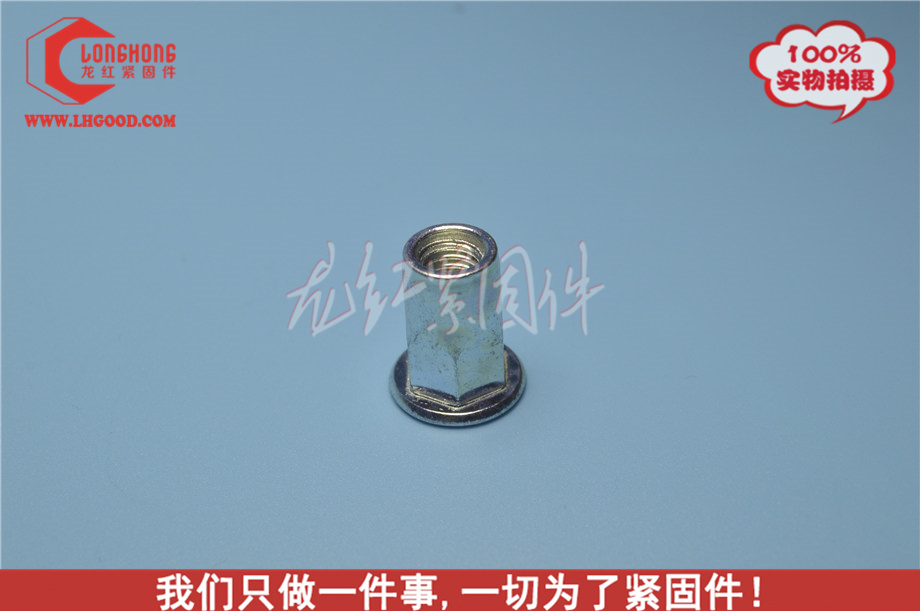 東莞 平頭通孔鉚螺母系列GB標準.jpg